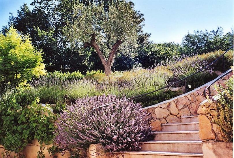 Au Vallon Rouge Saint-Paul-de-Vence Exterior foto